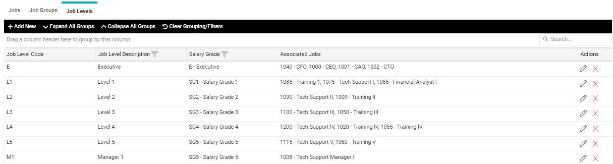 Client Jobs Job Levels Tab